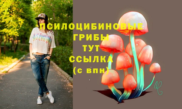 ГАЛЛЮЦИНОГЕННЫЕ ГРИБЫ Бугульма