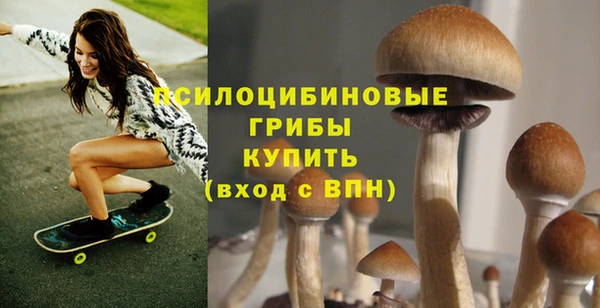 ГАЛЛЮЦИНОГЕННЫЕ ГРИБЫ Бугульма