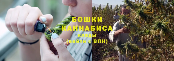 марки lsd Бородино