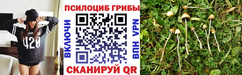 Галлюциногенные грибы GOLDEN TEACHER  цена наркотик  ОМГ ОМГ   Волосово 