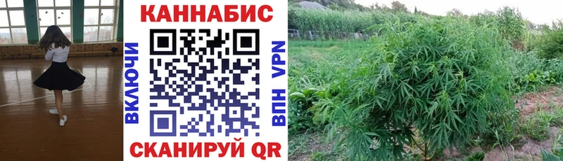 дарк нет официальный сайт  Волосово  Марихуана MAZAR 